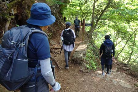 御岳山からロックガーデン・七代の滝への道を右に分け