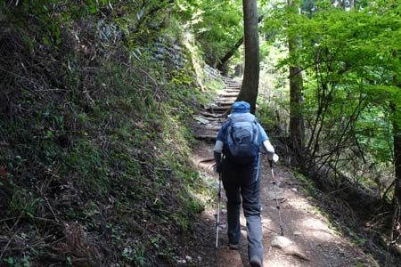 御岳山からロックガーデン・緩やかに上り返します