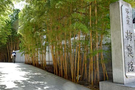 東京都港区・竹林の参道の先に梅窓院