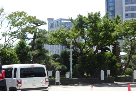 東京都港区・梅窓院の庭園のような墓地
