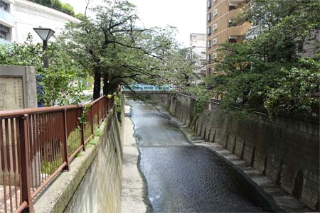 東京都目黒区・春は桜で賑わう目黒川