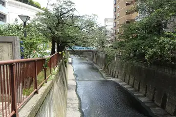 目黒川