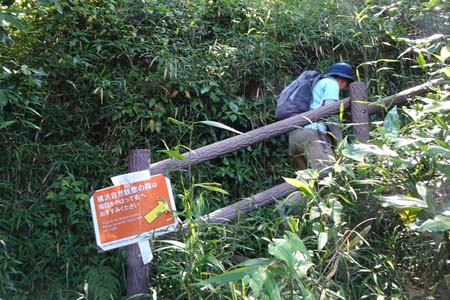 天園から上郷あじさいの丘・上郷森の家からの小さく登り