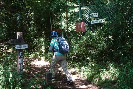 天園から上郷あじさいの丘・大平山への登り