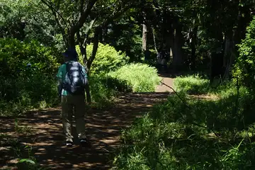 大平山
