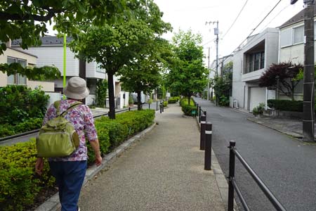 東京都目黒区・九品仏川緑道