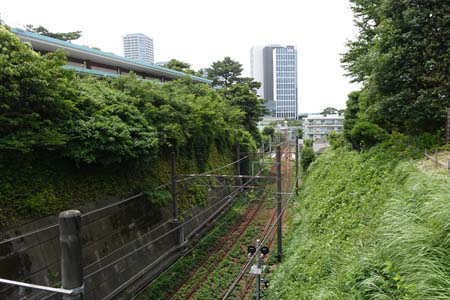 東京都世田谷区・富士見橋は関東の富士見百景の一つ