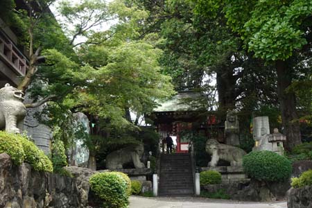 東京都世田谷区・善養寺の石段に海駝の坐像