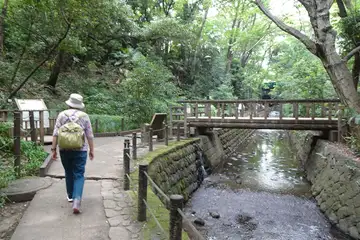 等々力渓谷