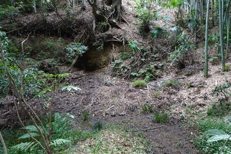 東京都世田谷区・崖線から流れる湧水