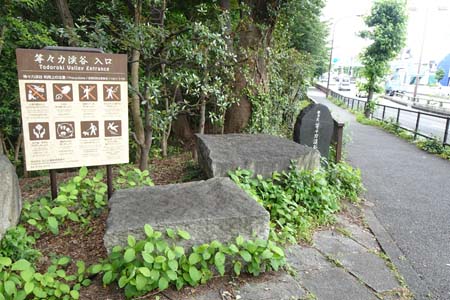 東京都世田谷区・環八に等々力渓谷の入り口