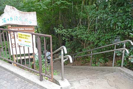 東京都世田谷区・等々力渓谷の入り口