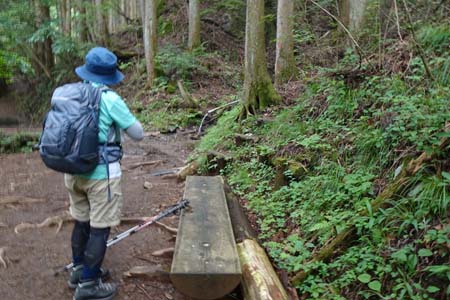 大岳山・ロックガーデン入口近くの水場