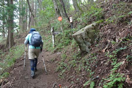 大岳山・鍋割山への分岐