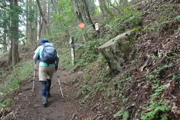 鍋割山への分岐