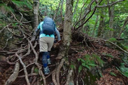 大岳山・小さな岩場を超え
