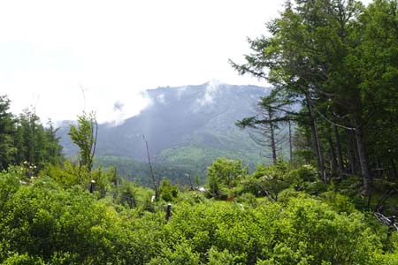 富士山お中道・大沢展望台から眺める富士山