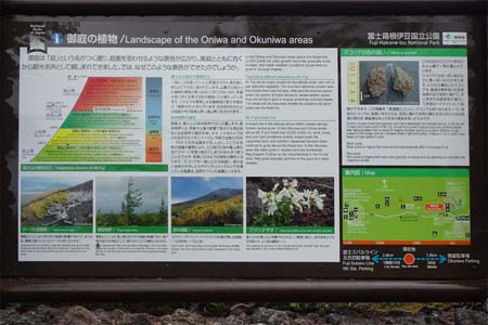 富士山お中道・御庭の植物の案内板