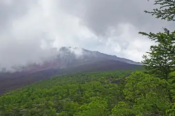 お中道からの富士山は雲の中