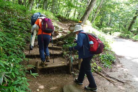 大菩薩峠・登山口からは雑木林の道