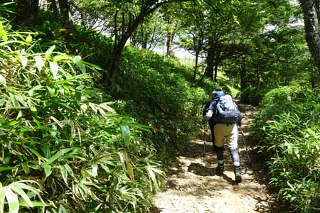 大菩薩峠・ジグザグを切りながら車道を上り