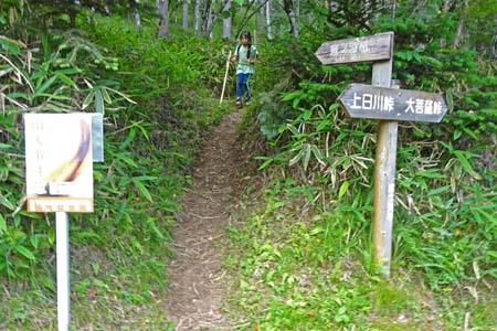 大菩薩峠・賽ノ河原から下ってくる道