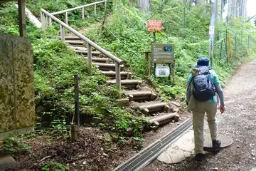 レンゲショウマの群生地