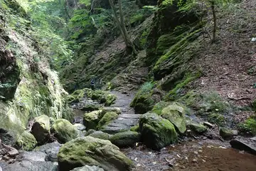 ロックガーデン
