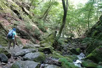 ロックガーデン