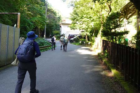高尾山・６号路へと舗装道路を歩き