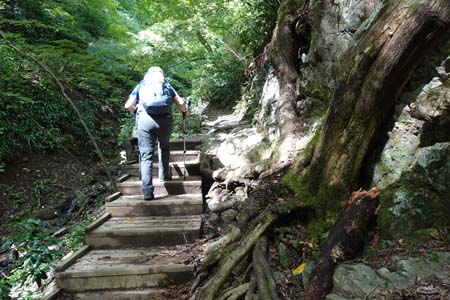 高尾山・緩やかに沢沿いの登り