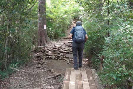 高尾山・６号路から稲荷山コースを登り