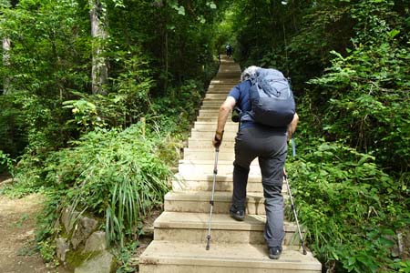 高尾山・山頂への急な階段