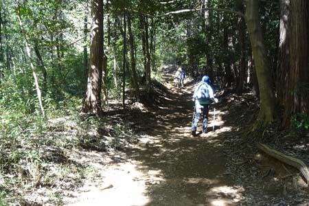 巾着田から日和田山・女坂を登って行きます