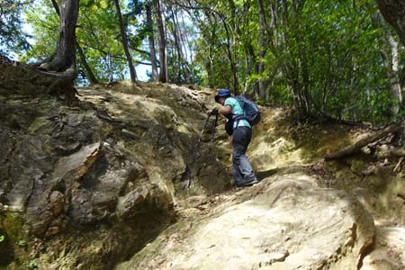 巾着田から日和田山・山頂直下の岩っぽい登り