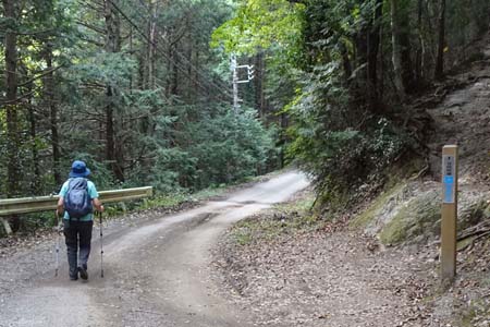 巾着田から日和田山・右手の山道は北向地蔵へ