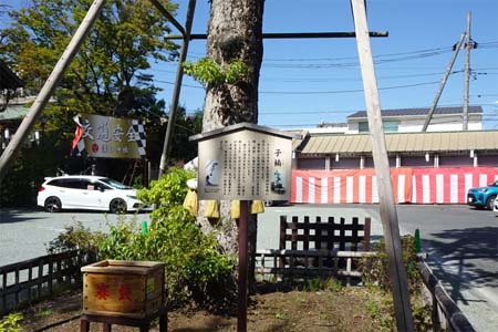 川崎市高津区・溝の口神社の子楠