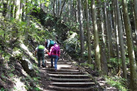 日の出山・緩やかに木の階段を登って