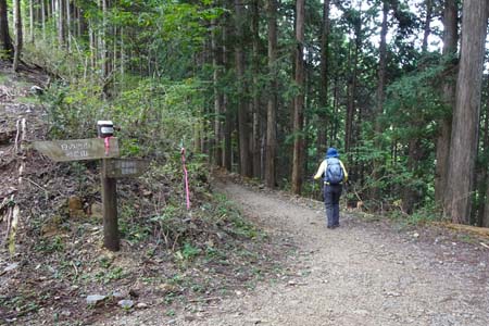 日の出山・高峰の分岐で小休止