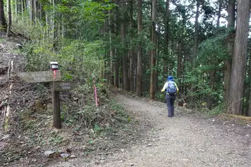 高峰の分岐