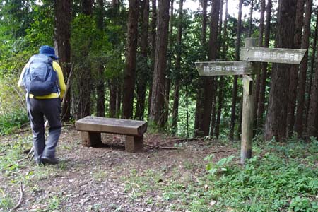 日の出山・林道大入線にベンチ