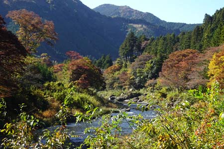 御岳渓谷・紅葉が始まった御岳渓谷