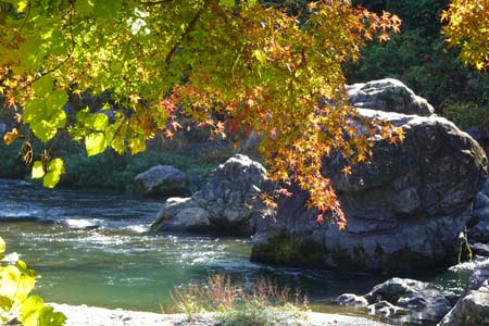 御岳渓谷・渓谷に映える紅葉