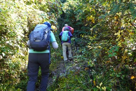御岳渓谷・急坂を上り御岳トンネルへ