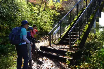 御岳渓谷・杣の小橋を越え