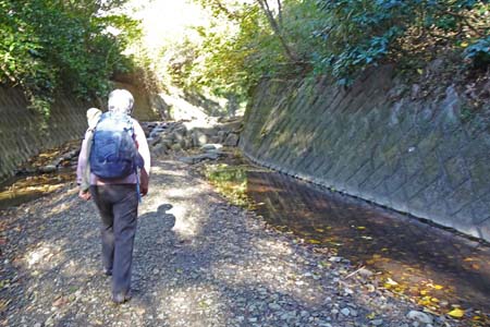 大楠山・川床に遊歩道が付けられています