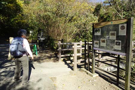 大楠山・川を離れ登山道へ