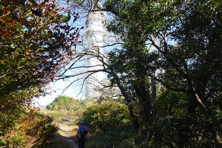大楠山・山頂直下にレーダー雨量観測所