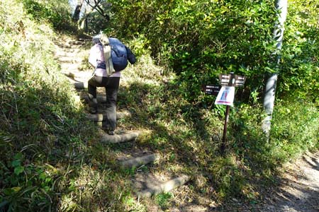 大楠山・山頂へと登る急な階段