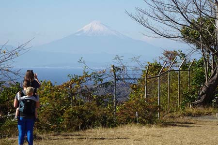 大楠山・雪を被った富士山